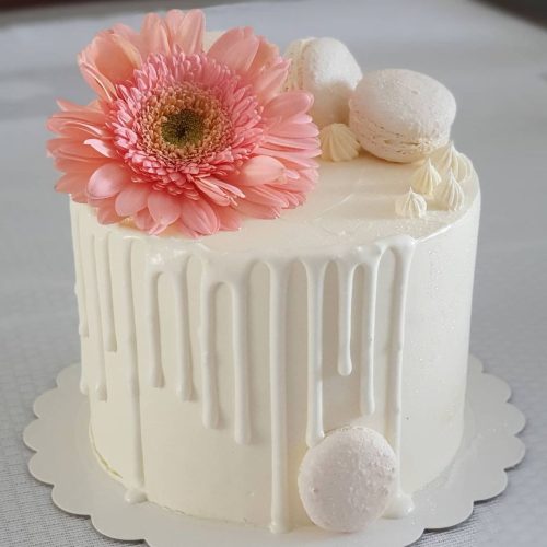 110046859_603225593930222_6860606485998114542_n