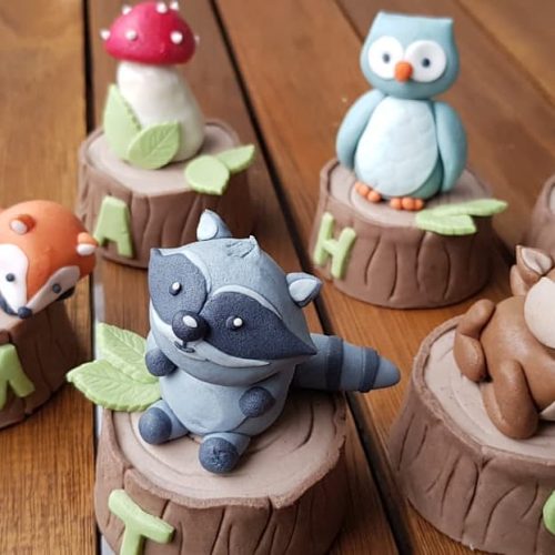 66348465_163128778150108_8821532543925771600_n